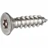 Tamper-Proof Security Sheet Metal Screws