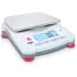 Portable Balances