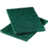 Scouring Pads