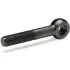 Swing Bolt