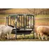 Small Animal Feeders
