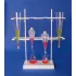 Cone And Separatory Funnel Rack
