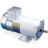 Leeson DC Motors, Washguard