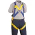 Gemtor™ Harnesses