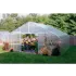 30' Solar Star Greenhouses