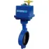 Butterfly Valve W/ Buna, EPDM, Viton Seals