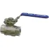 BI-TORQ® 2-Piece Manual SS NPT Ball Valves 