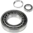 Nachi Tapered Roller Bearings- Metric