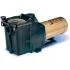 Inground Swimming Pool Pumps