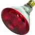 Heat Lamps