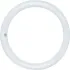 Circline Fluorescent Bulbs