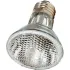Halogen Par Lamps