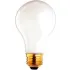 A19 Incandescent Lamps