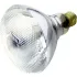 Reflector Flood and Spot Incandescent Lamps