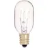 Type S & T Incandescent Lamps
