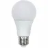 LED A21, A19 & A15 Lamps