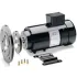 IEC Metric DC Motors