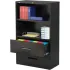 Lateral File Cabinet & Bookcase Combo Units