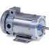 Reliance DC Washdown Motors