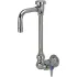 Side & Wall Mount Gooseneck Laboratory Faucets