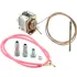 Mercury Flame Sensors