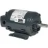 Specialty & International Open Drip Motors