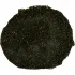 Grit Coal Slag/Steel Grit