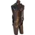 Fall Safe Harnesses