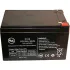 AJC® 12 Volts 10 - 12 Amps Brand Replacement Alarm Batteries