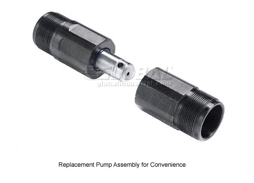Replacement Pump Assembly