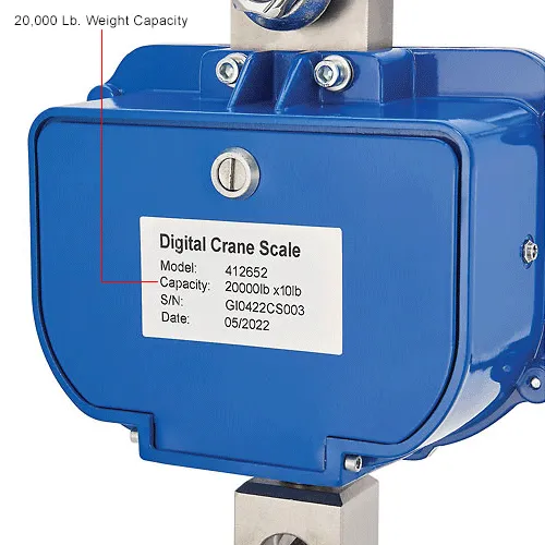 Global Industrial Heavy-Duty LCD Digital Crane Scale w/ Remote, 20,000 lb x 10 lb