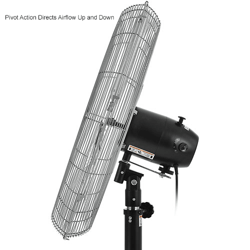 Fans Pedestal Fans Global Industrial™ 30" Deluxe Industrial