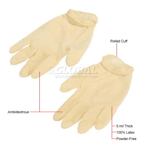 Disposable Latex Gloves Powder-Free Large