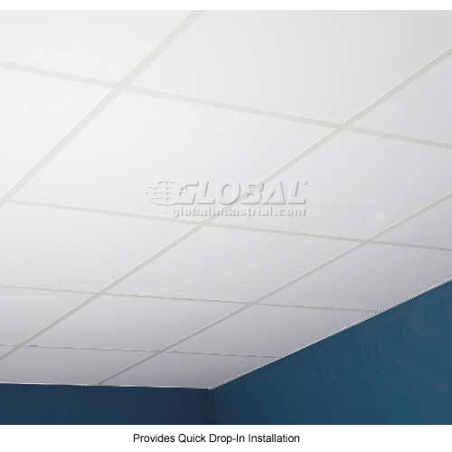Genesis Smooth Pro PVC Ceiling Tile 740-00, Waterproof & Washable, 2'L X 2'W, White
																			