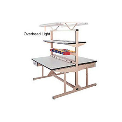 Overhead Light Kit for Single Sided Flexline Unit