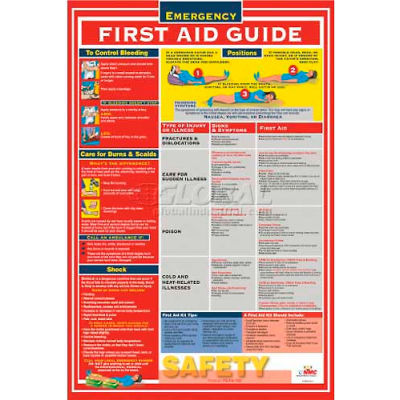Poster, First Aid Guidefety, 18 x 24