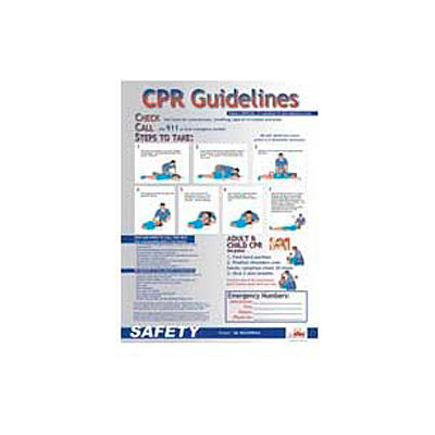 Poster, CPR Guideliness, 18 x 24