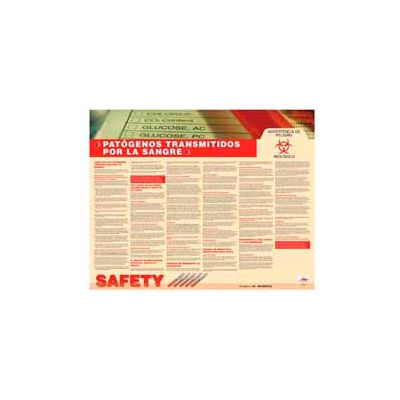 Poster, Bloodborne Pathognes (Spanish), 24 x 30