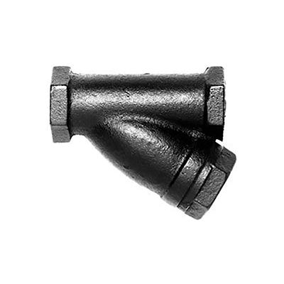 Hoffman Specialty® 415C Y-Strainer 405006, 1" Npt
