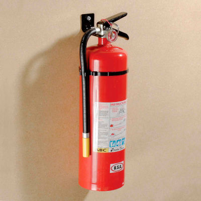 Fire Extinguisher Dry Chemical 10 Lb.