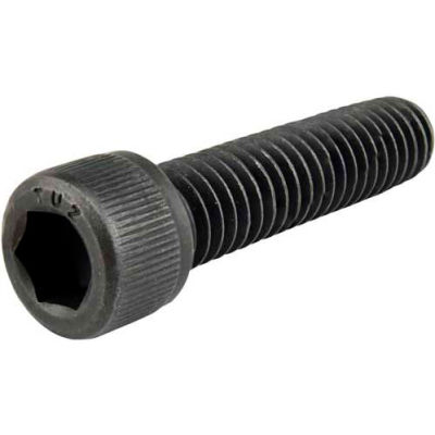 80/20 3123 Socket Head Cap Screw, 1-1/4"L