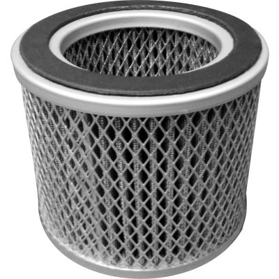 Atlantic Blowers Pressure Filter Element AB-EP10003, 2"