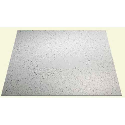 Genesis Printed Pro PVC Ceiling Tile 741-00, Waterproof & Washable, 2'L X 2'W - 12/Case