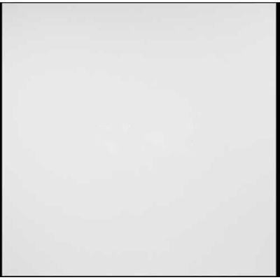 Genesis Designer Border Fill PVC Ceiling Tile 756-00, 2'L X 2'W, White - 12/Case