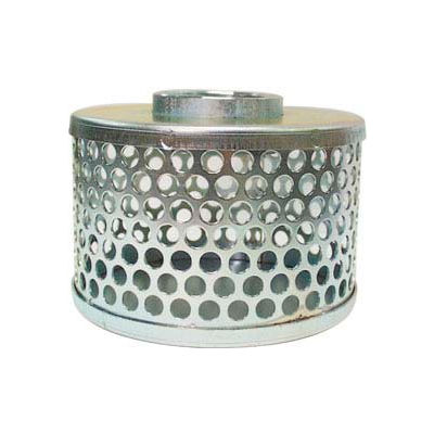 Apache 70002000 4" FNPT Plated Steel Round Hole Strainer