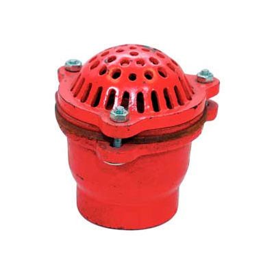 6" FNPT Cast Iron Foot Valve w/ Leather Flapper