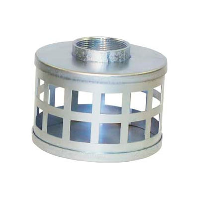 2" FNPT Plated Steel Square Hole Strainer