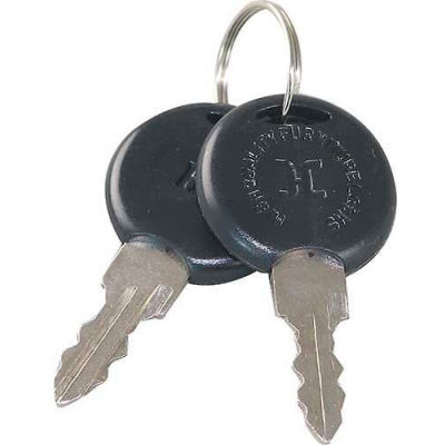 Keys (Pair) For Turbo Air, TUAP998200100