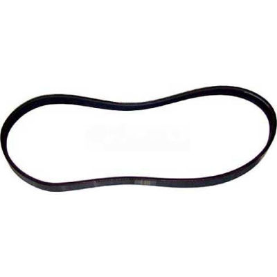 Poly-Rib Belt For Univex, UNI7510153
