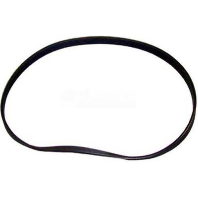 Poly-Rib Belt For Univex, UNI7512155